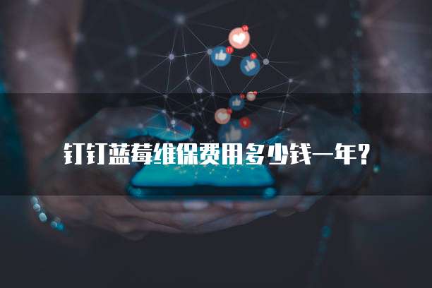 钉钉蓝莓维保费用多少钱一年?
