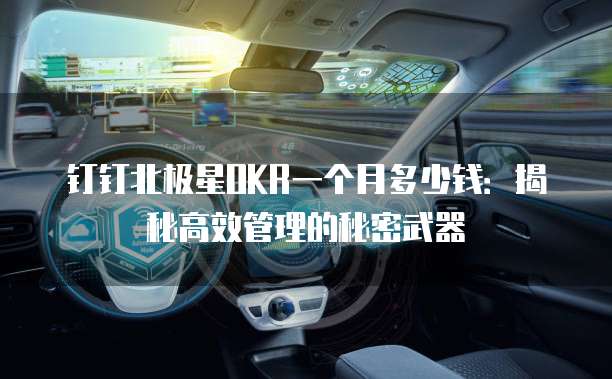 钉钉北极星OKR一个月多少钱:揭秘高效管理的秘密武器