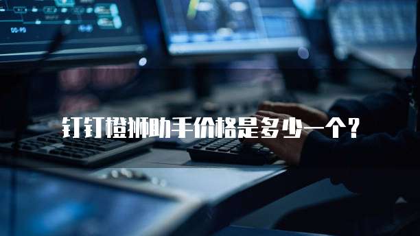 钉钉橙狮助手价格是多少一个？