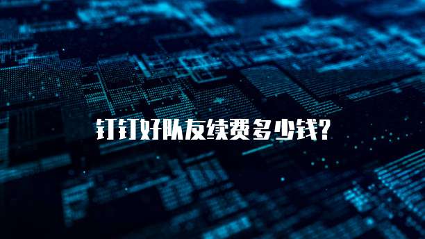 钉钉好队友续费多少钱?