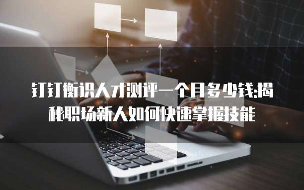 钉钉衡识人才测评一个月多少钱:揭秘职场新人如何快速掌握技能