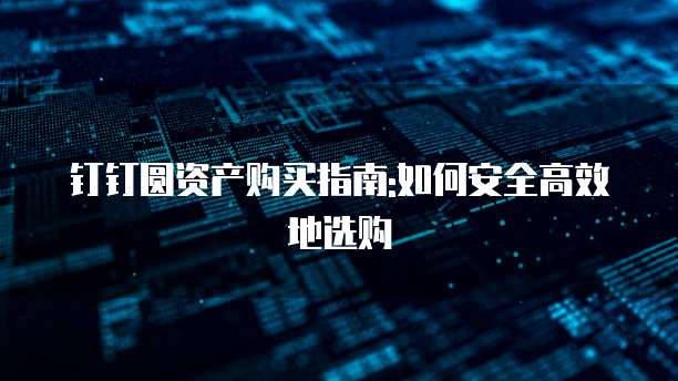 钉钉圆资产购买指南:如何安全高效地选购
