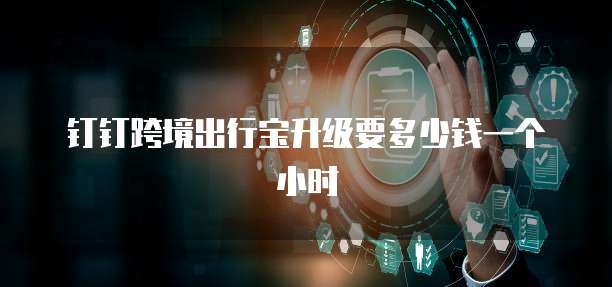钉钉跨境出行宝升级要多少钱一个小时