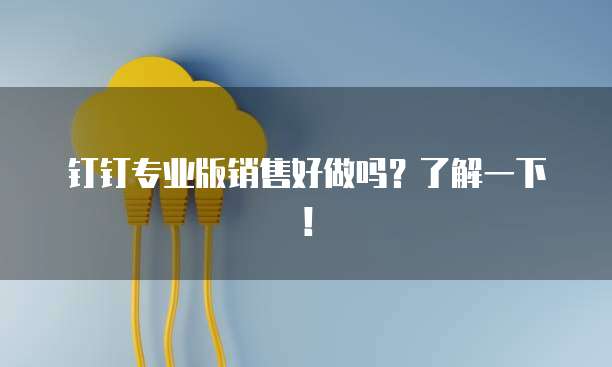 钉钉专业版销售好做吗?了解一下!