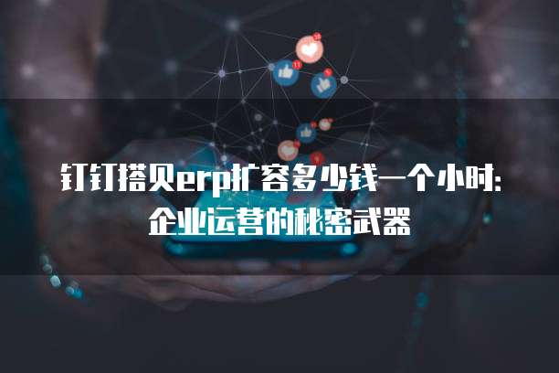 钉钉搭贝erp扩容多少钱一个小时:企业运营的秘密武器
