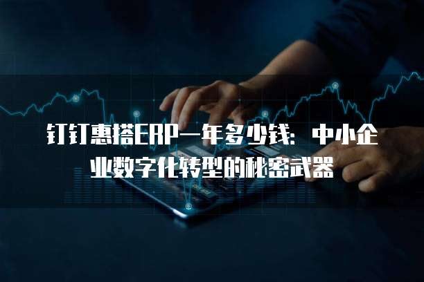 钉钉惠搭ERP一年多少钱:中小企业数字化转型的秘密武器