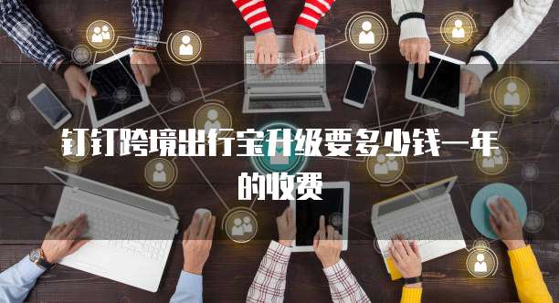 钉钉跨境出行宝升级要多少钱一年的收费
