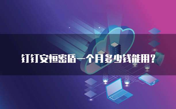 钉钉安恒密盾一个月多少钱能用?