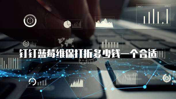 钉钉蓝莓维保打折多少钱一个合适