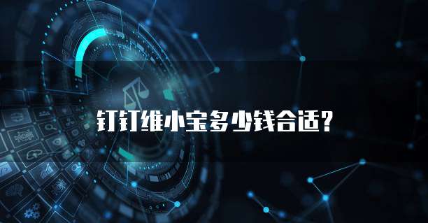 钉钉维小宝多少钱合适？