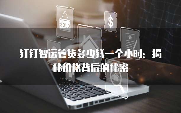 钉钉智运管货多少钱一个小时:揭秘价格背后的秘密