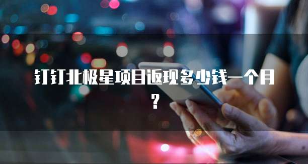 钉钉北极星项目返现多少钱一个月?