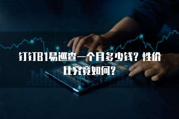 钉钉B1易巡查一个月多少钱?性价比究竟如何?