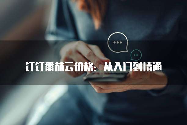 钉钉番茄云价格:从入门到精通