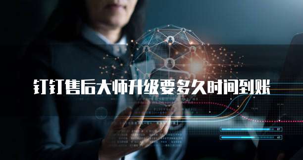 钉钉售后大师升级要多久时间到账