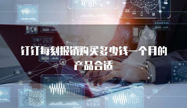钉钉每刻报销购买多少钱一个月的产品合适