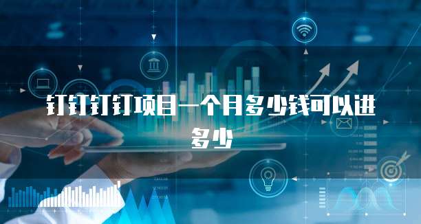 钉钉钉钉项目一个月多少钱可以进多少