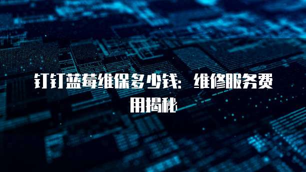 钉钉蓝莓维保多少钱:维修服务费用揭秘