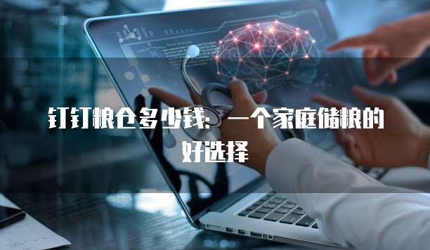 钉钉粮仓多少钱:一个家庭储粮的好选择