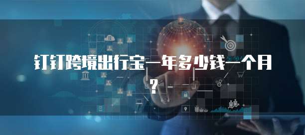 钉钉跨境出行宝一年多少钱一个月?