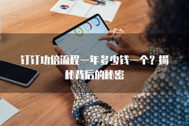 钉钉功倍流程一年多少钱一个?揭秘背后的秘密
