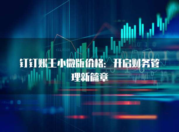 钉钉账王小微版价格:开启财务管理新篇章