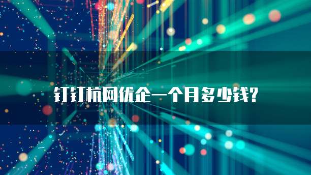 钉钉杭网优企一个月多少钱?