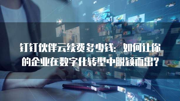 钉钉伙伴云续费多少钱:如何让你的企业在数字化转型中脱颖而出?