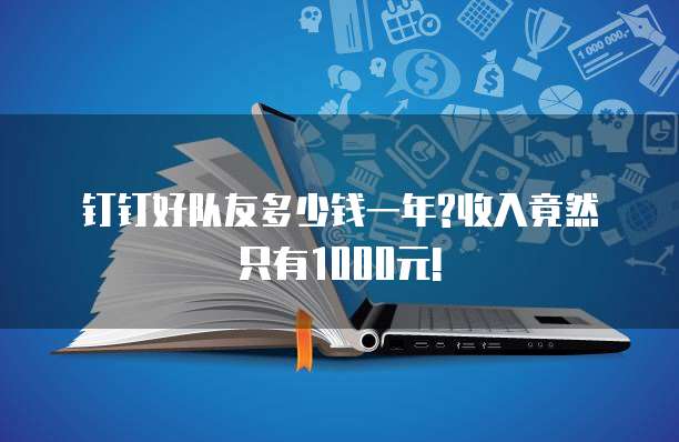 钉钉好队友多少钱一年?收入竟然只有1000元!