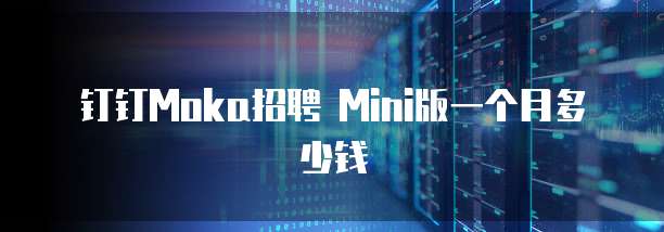 钉钉Moka招聘 Mini版一个月多少钱