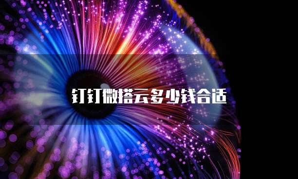 钉钉微搭云多少钱合适