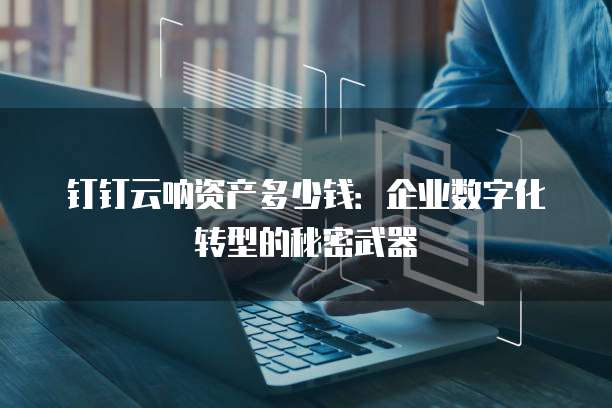 钉钉云呐资产多少钱:企业数字化转型的秘密武器