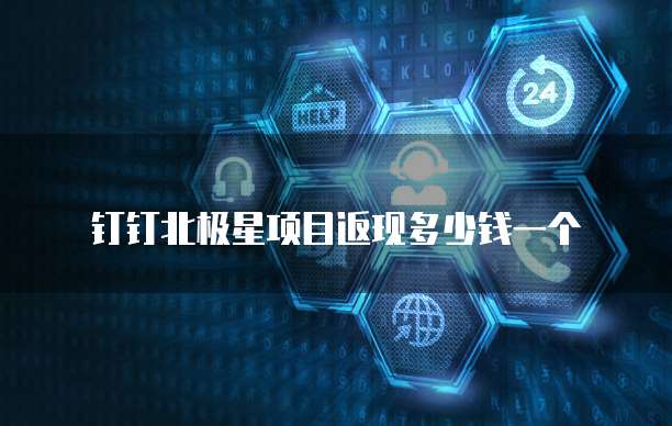 钉钉北极星项目返现多少钱一个