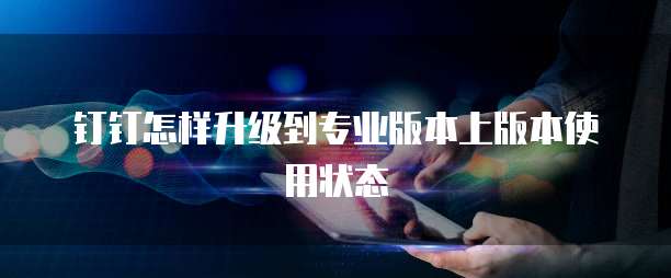 钉钉怎样升级到专业版本上版本使用状态