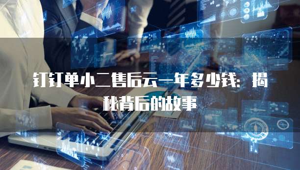 钉钉单小二售后云一年多少钱:揭秘背后的故事
