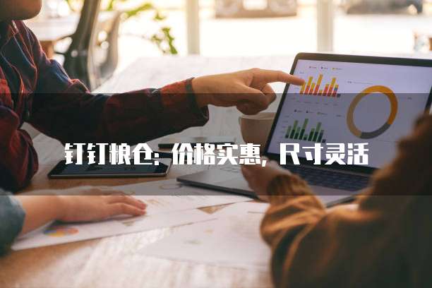钉钉粮仓: 价格实惠, 尺寸灵活