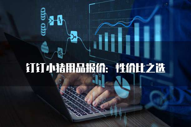 钉钉小猪用品报价:性价比之选