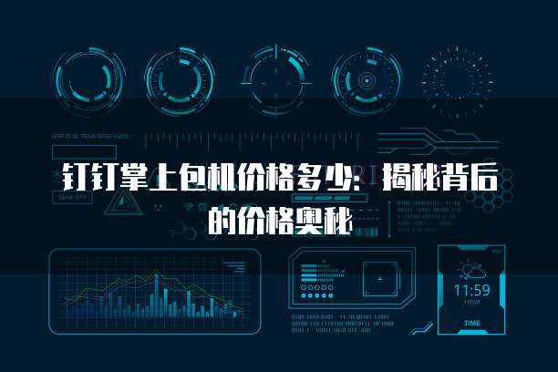 钉钉掌上包机价格多少:揭秘背后的价格奥秘