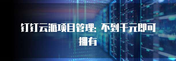 钉钉云派项目管理: 不到千元即可拥有