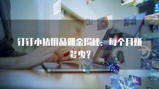 钉钉小猪用品佣金揭秘:每个月赚多少?