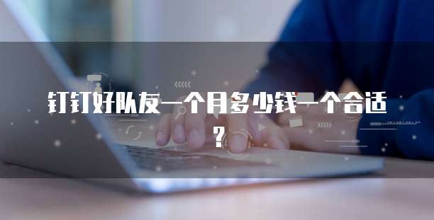 钉钉好队友一个月多少钱一个合适?