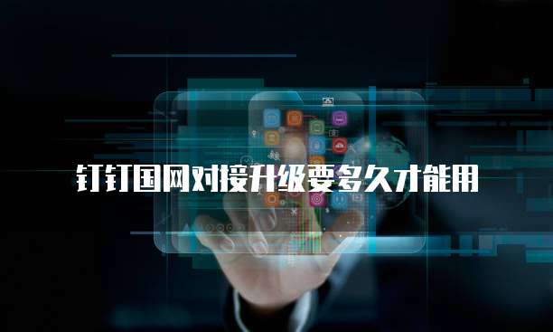 钉钉国网对接升级要多久才能用