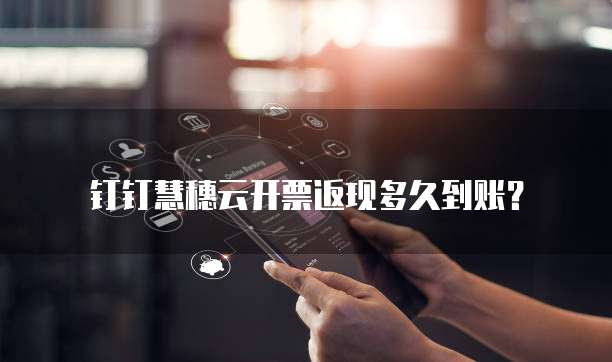 钉钉慧穗云开票返现多久到账？