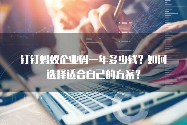 钉钉蚂蚁企业码一年多少钱?如何选择适合自己的方案?
