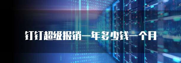 钉钉超级报销一年多少钱一个月
