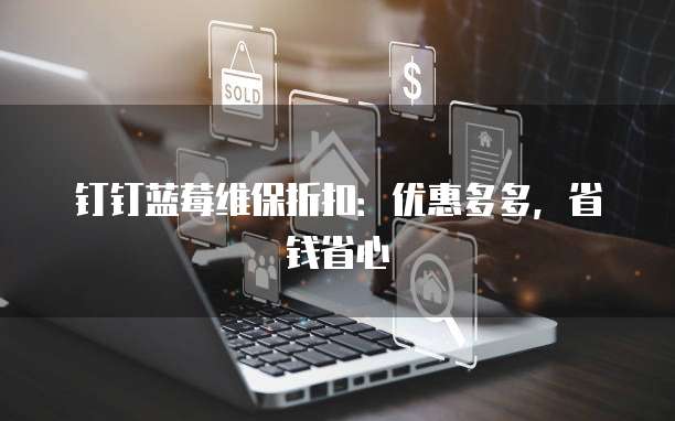 钉钉蓝莓维保折扣：优惠多多，省钱省心