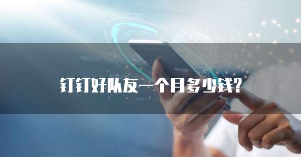 钉钉好队友一个月多少钱?