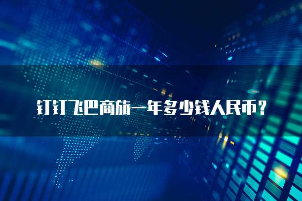 钉钉飞巴商旅一年多少钱人民币?