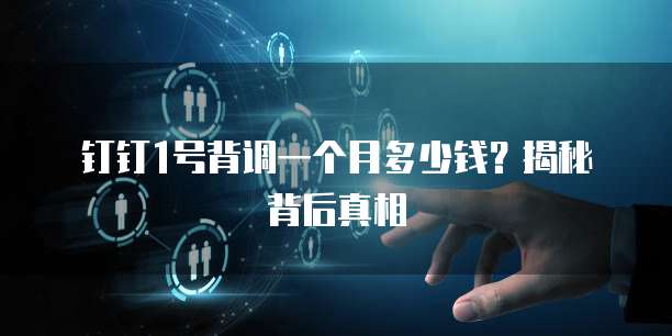 钉钉1号背调一个月多少钱?揭秘背后真相