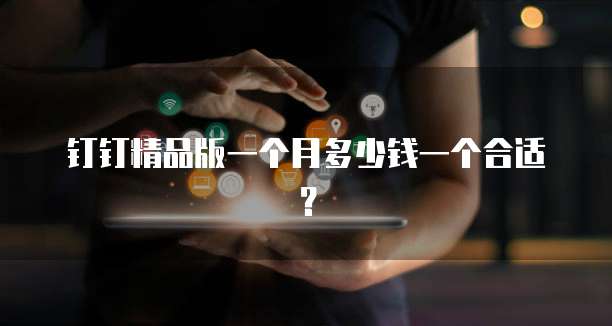 钉钉精品版一个月多少钱一个合适?